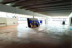 CAPANNONE DALLE AMPIE METRATURE