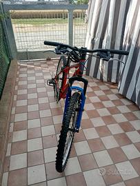Bicicletta MTB per bambini.