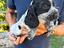 Immagine 5