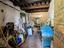 Immagine 7