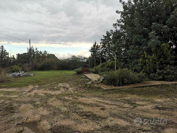 Fabbricato c/2 con ampio terreno agricolo - Vista 2