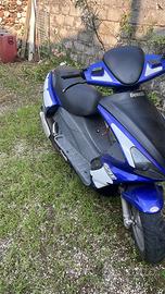Benelli 491