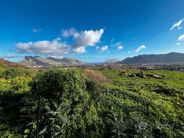 Terreno agricolo zona Cardillo