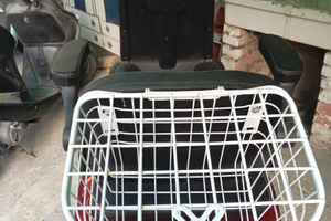 Veicolo elettrico per disabili