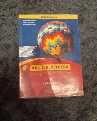 Libro Nel cielo terso