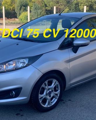 Ford Fiesta 1.5 TDCi 75CV 5 porte