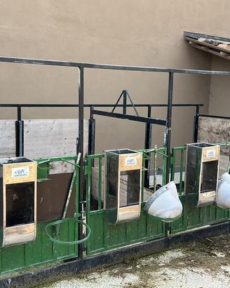 Box vitelli