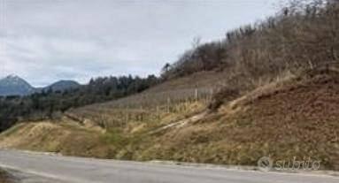 Immobile in asta di 21249 m² a Stenico