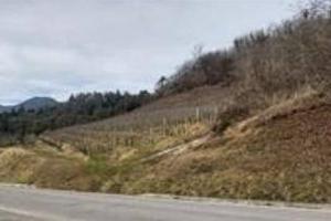 Immobile in asta di 21249 m² a Stenico