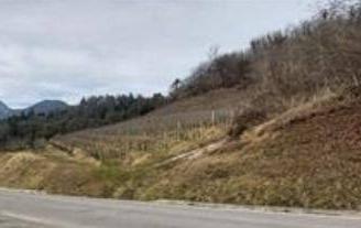 Immobile in asta di 21249 m² a Stenico
