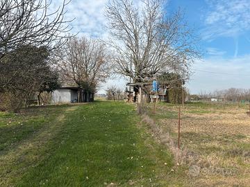 Spazio per orto disponibile