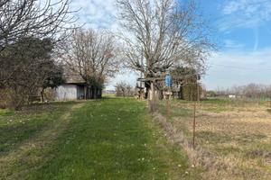 Spazio per orto disponibile