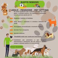 Asilo, Pensione, Pet Sitting, Dog Sitter