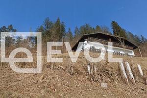 Casa singola - Tarvisio