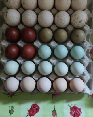 Uova di gallina ornamentali