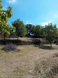 Terreno agricolo