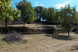 Terreno agricolo