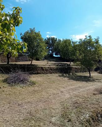 Terreno agricolo