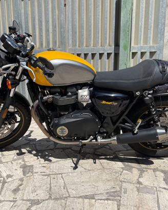 Triumph Street cup 900