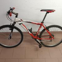 Bicicletta Bottecchia