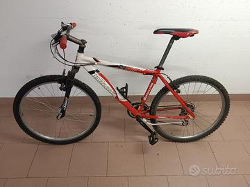 Bicicletta Bottecchia