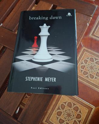 Breaking dawn 
