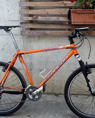 Mtb LeeCougan