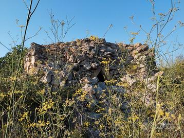 Terreno di circa 8.000 mq con trullo