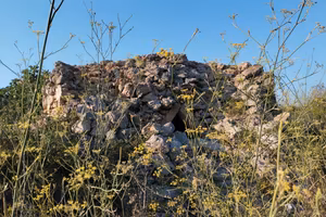 Terreno di circa 8.000 mq con trullo