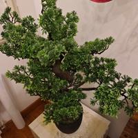 Pianta bonsai plastica 