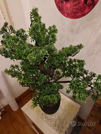 Pianta bonsai plastica 