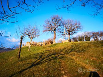 Terreno edificabile con rudere