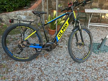 Bici elettrica mtb
