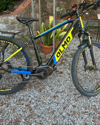 Bici elettrica mtb