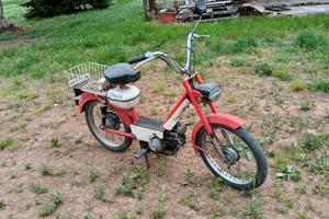 Benelli 50