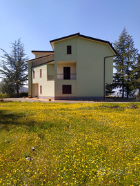 Vendesi TERRENO + Casa