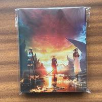 FINAL FANTASY VII 7 REBIRTH STEELBOOK PS5 -NO GAME