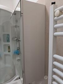 Specchiera da Bagno Contenitore con Ante a Specchi
