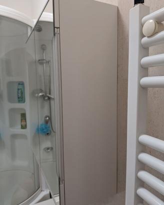 Specchiera da Bagno Contenitore con Ante a Specchi