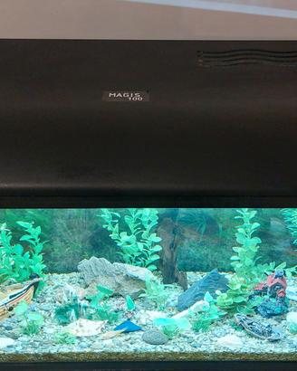 acquario magis 100