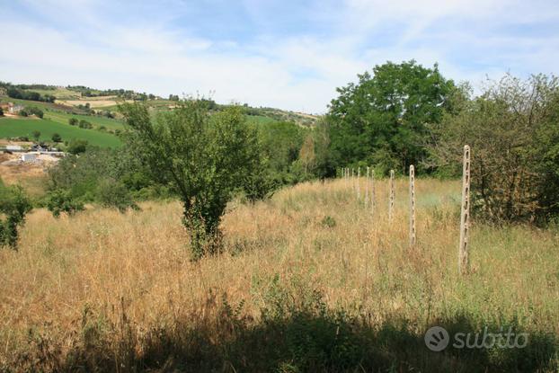 Terreno agricolo - Monsampolo del Tronto