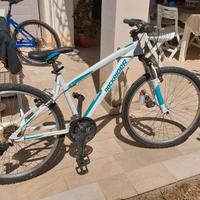 mtb rockrider 26