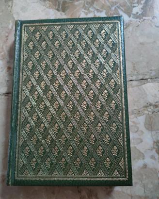 Gustave Flaubert - Madame Bovary