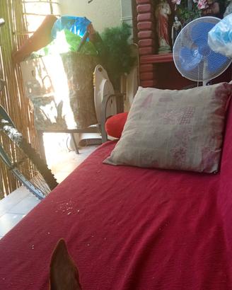 divano letto tre posti 