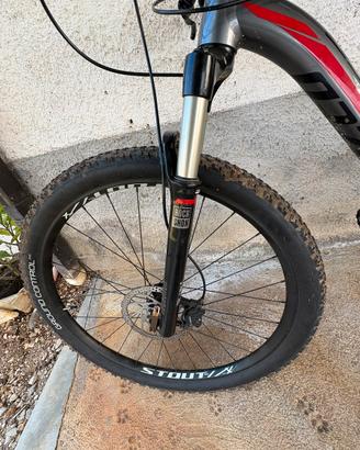 Specialized