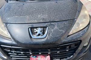 Peugeot 207 benzina gpl anno 2009