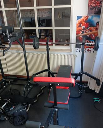 palestra completa 