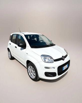 FIAT Panda 3ª serie - Panda 1.0 FireFly S&S Hybrid