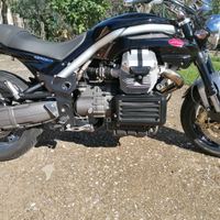 Moto guzzi griso 1100