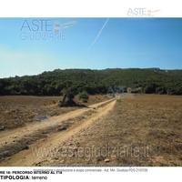 Terreno Agricolo Aggius [A368207]